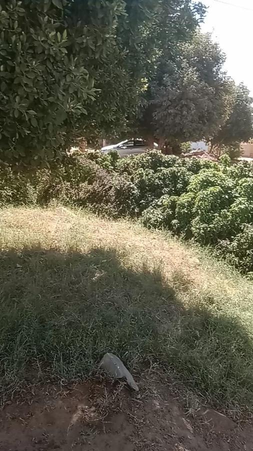 بيت شمس Assouan Extérieur photo