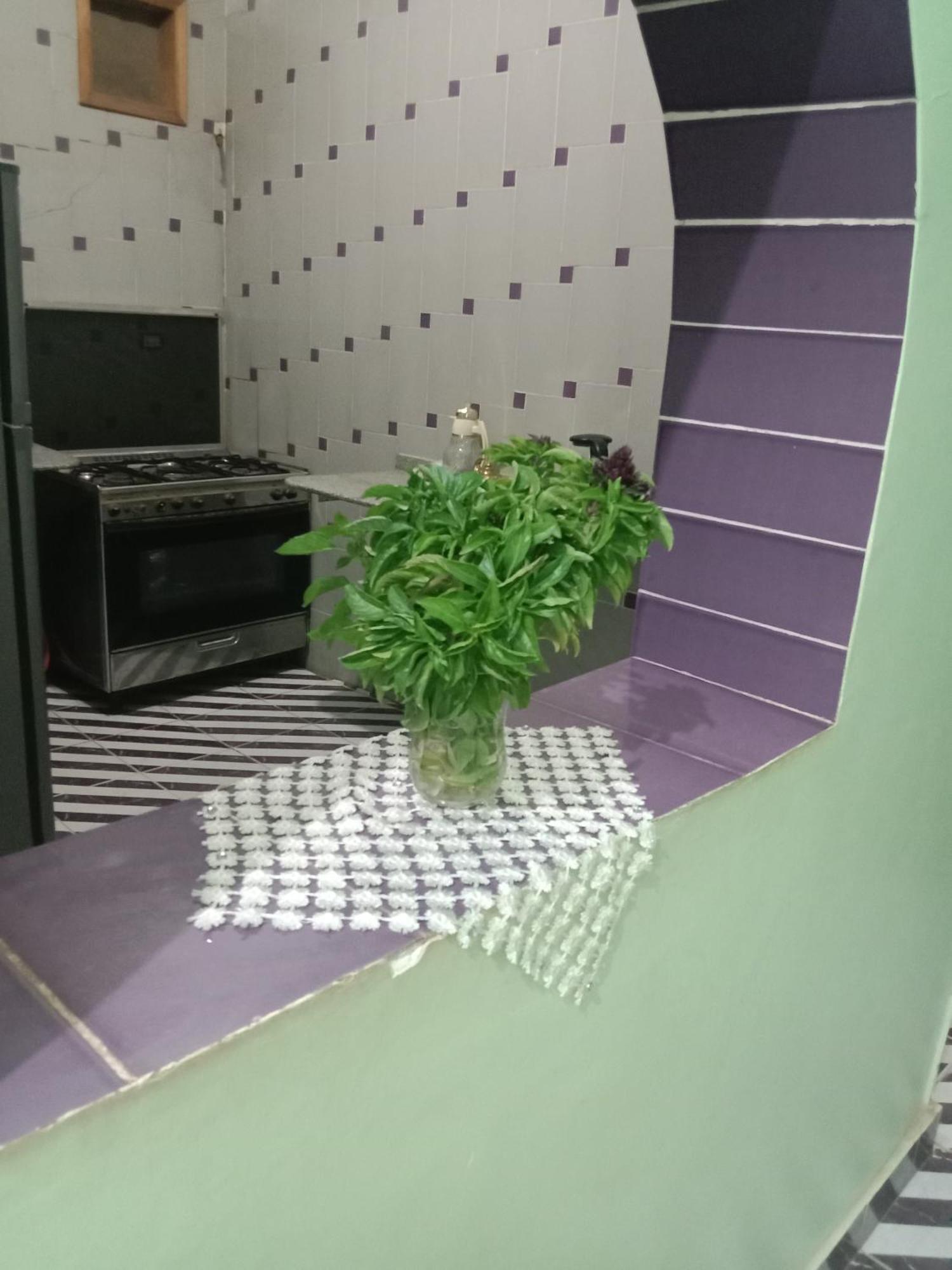 بيت شمس Assouan Extérieur photo